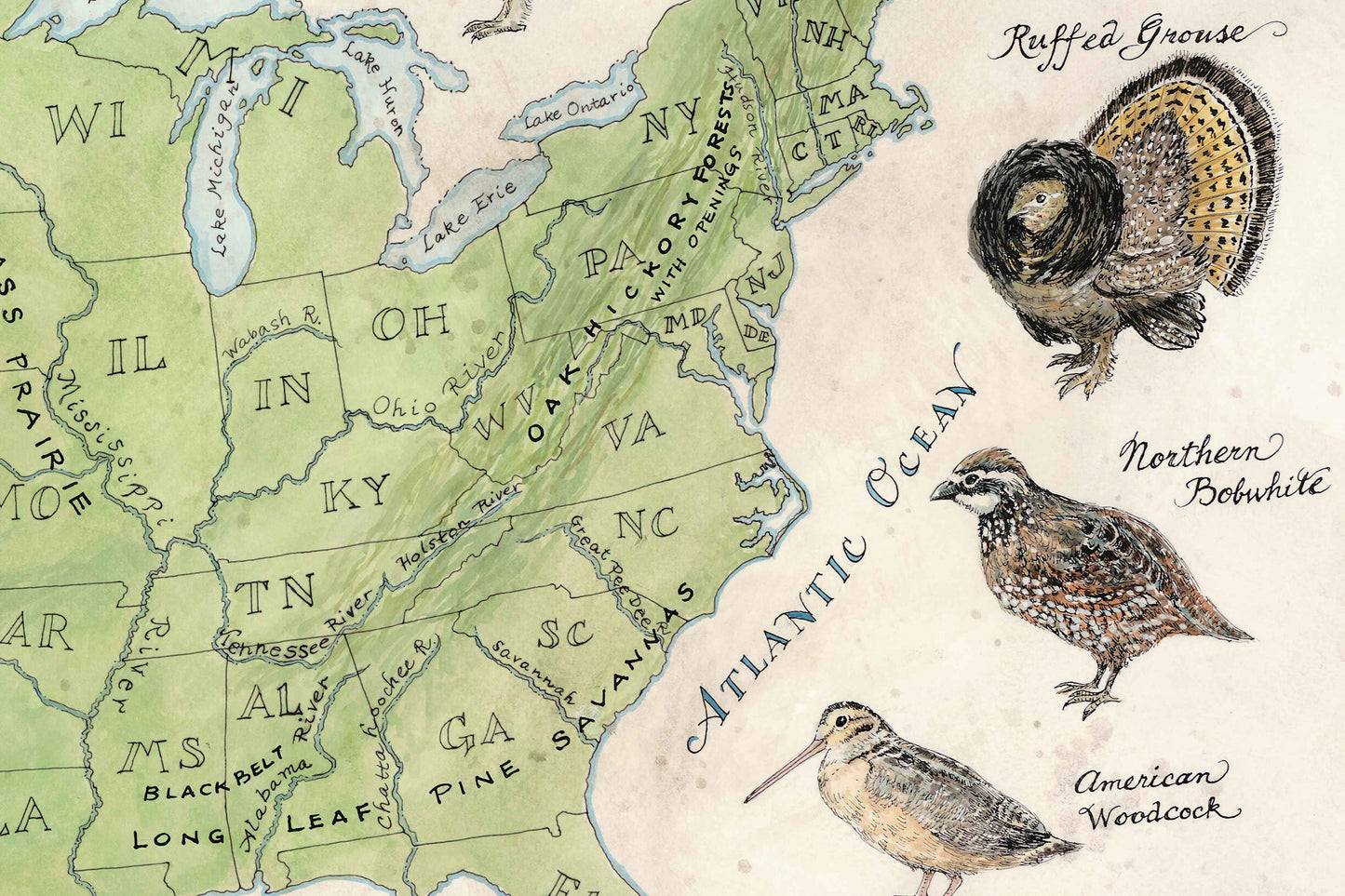 Upland Game Birds of the United States and select pointing dog breeds