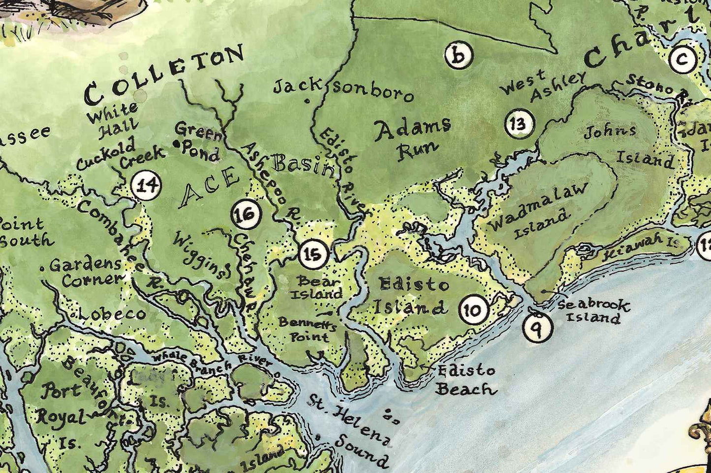 Lowcountry Ornithology
