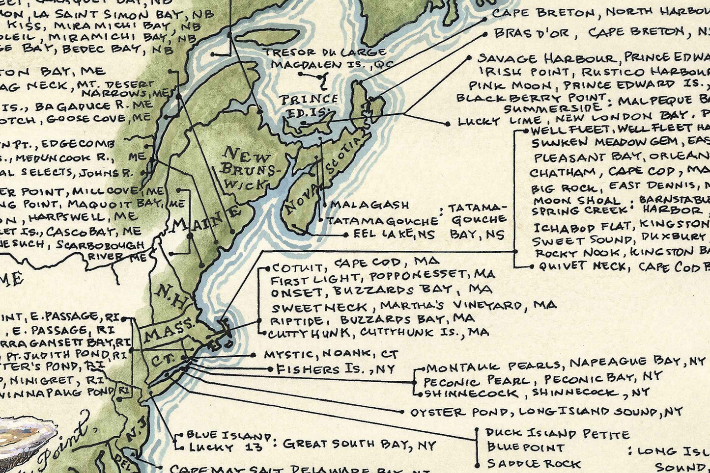 Oysters of North America