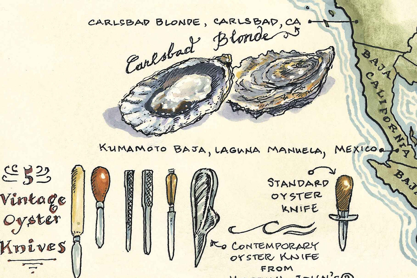 Oysters of North America