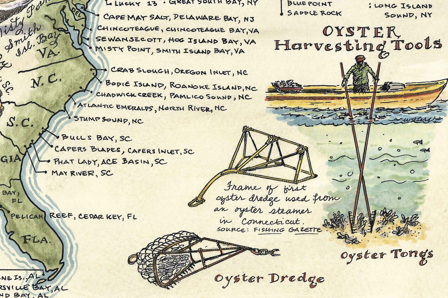 Oysters of North America