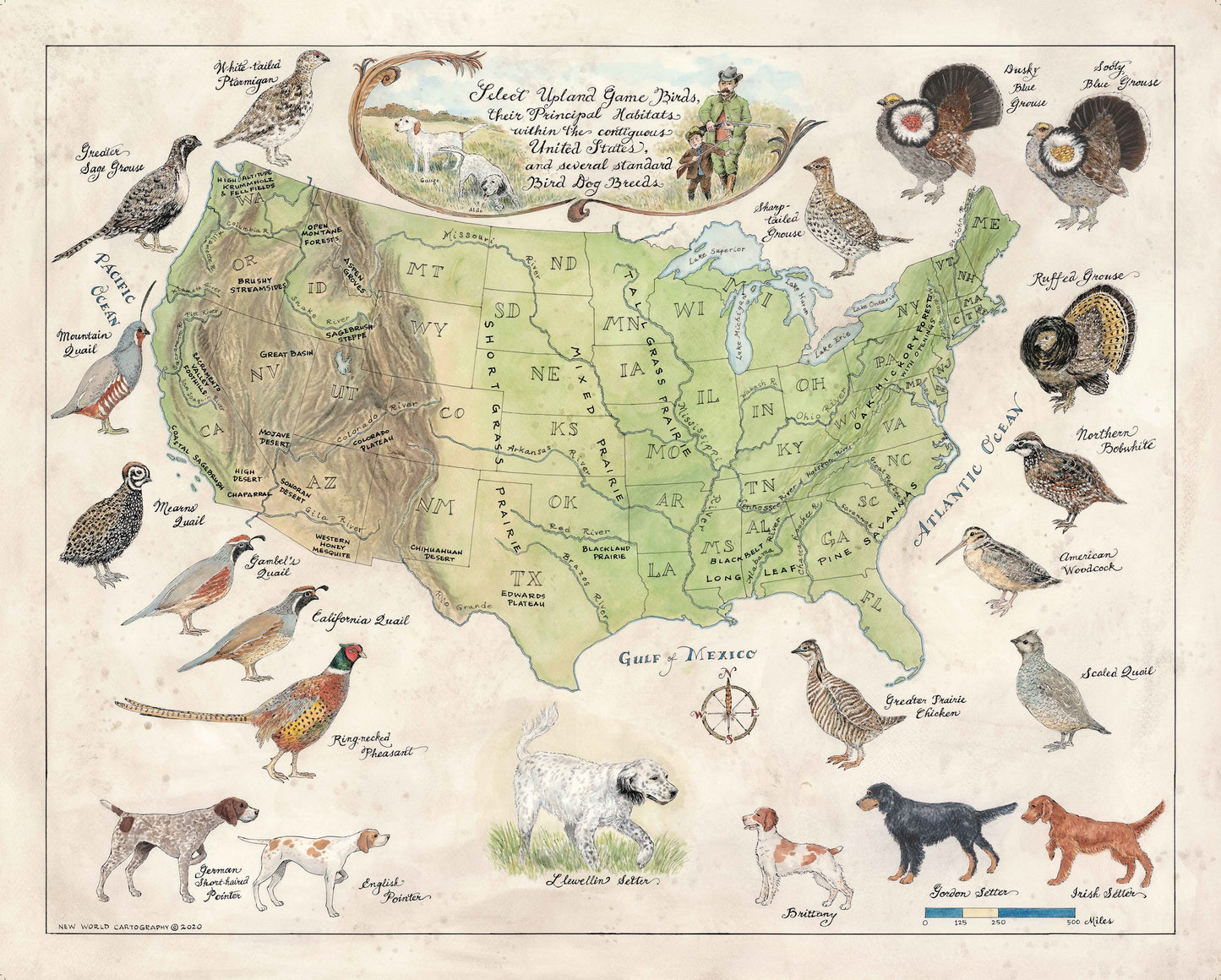 Upland Game Birds of the United States and select pointing dog breeds